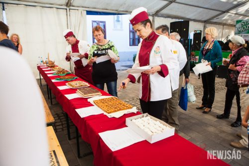 Tekintse meg galériánkat! (1/67)