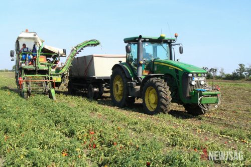 Tekintse meg galériánkat! (1/20)