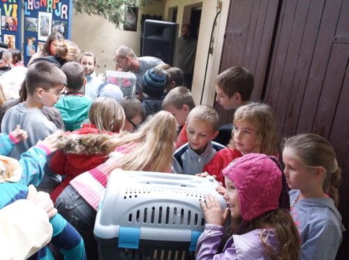 Tekintse meg galériánkat! (1/12)