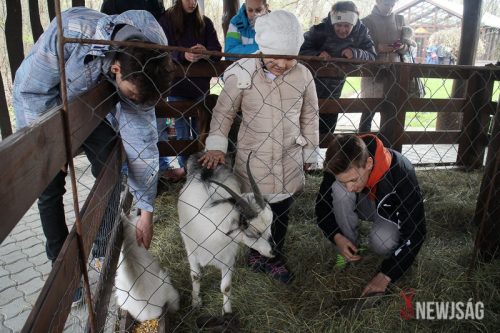 Tekintse meg galériánkat! (1/33)