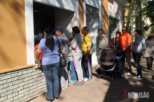 Tekintse meg galériánkat! (1/22)