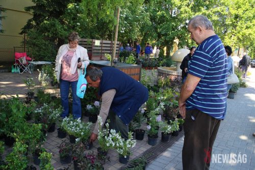 Tekintse meg galériánkat! (1/45)