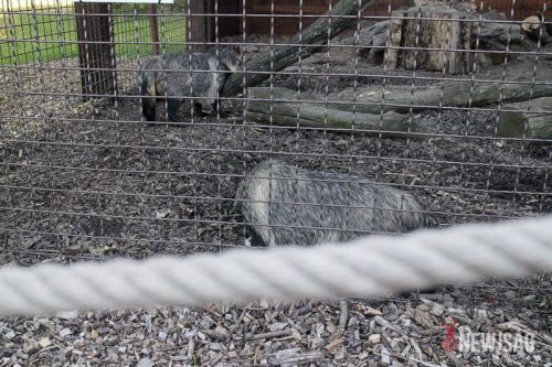 Tekintse meg galériánkat! (1/20)