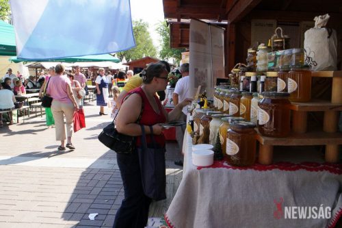 Tekintse meg galériánkat! (1/28)