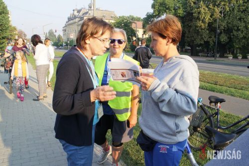 Tekintse meg galériánkat! (1/34)