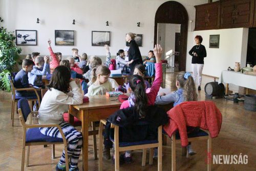 Tekintse meg galériánkat! (1/23)