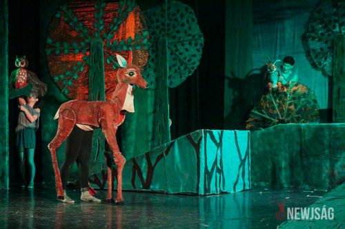 Tekintse meg galériánkat! (1/21)