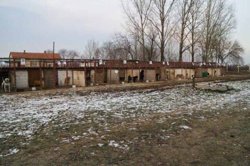 Tekintse meg galériánkat! (1/30)