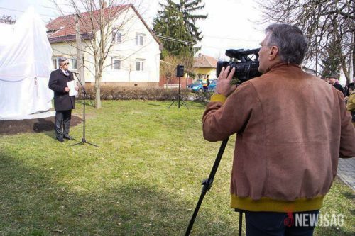 Tekintse meg galériánkat! (1/37)