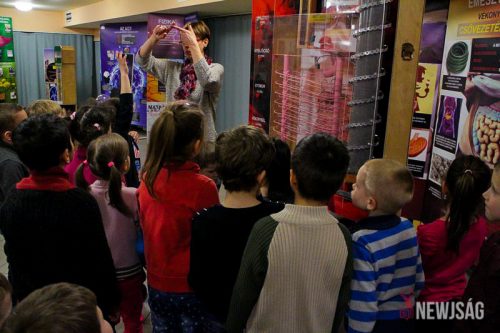 Tekintse meg galériánkat! (1/24)