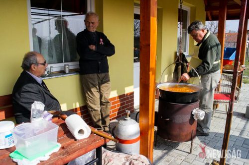 Tekintse meg galériánkat! (1/29)