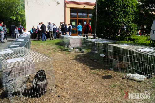 Tekintse meg galériánkat! (1/28)