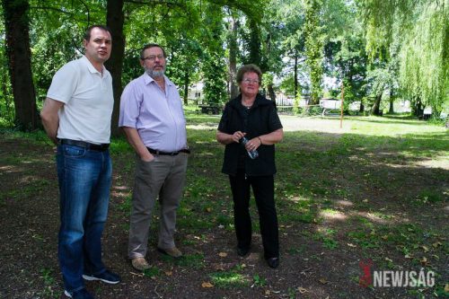 Tekintse meg galériánkat! (1/38)