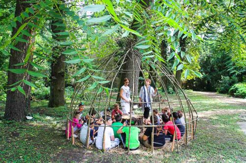 Tekintse meg galériánkat! (1/22)