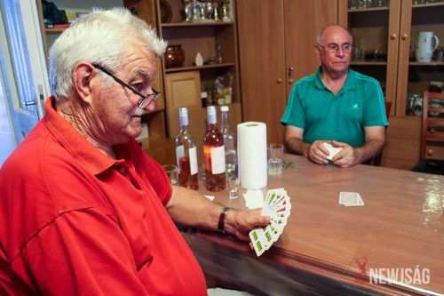 Tekintse meg galériánkat! (1/13)