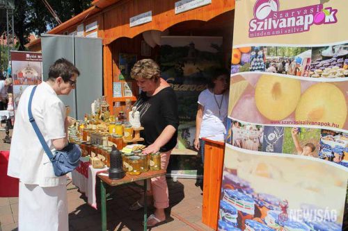 Tekintse meg galériánkat! (1/34)