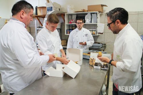 Tekintse meg galériánkat! (1/21)