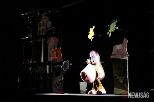 Tekintse meg galériánkat! (1/11)