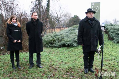 Tekintse meg galériánkat! (1/28)