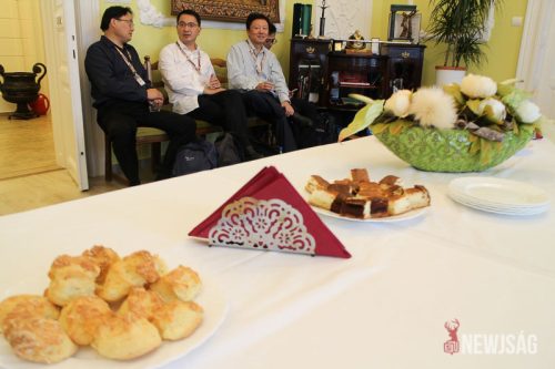 Tekintse meg galériánkat! (1/31)