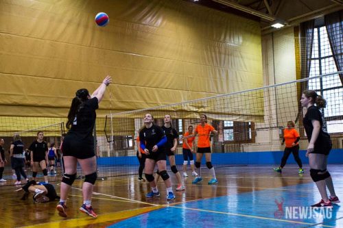 Tekintse meg galériánkat! (1/29)