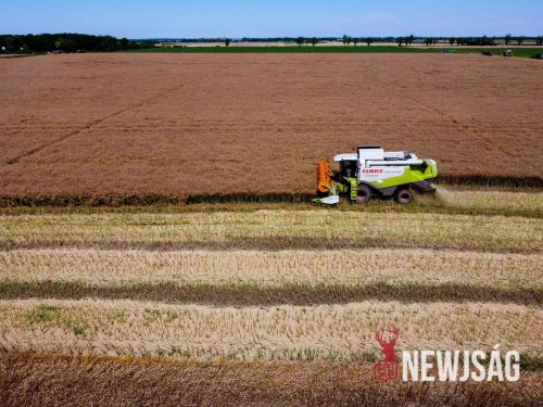 Tekintse meg galériánkat! (1/16)
