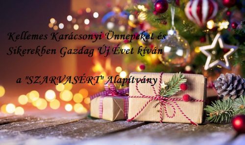 Tekintse meg galériánkat! (1/19)