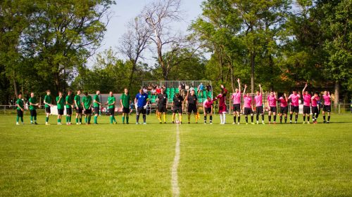 Tekintse meg galériánkat! (1/30)