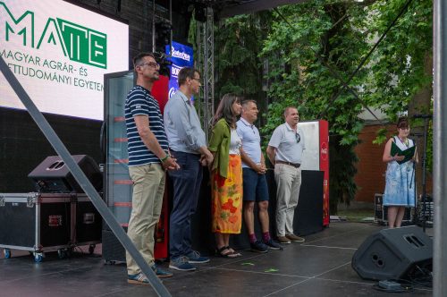 Tekintse meg galériánkat! (1/17)