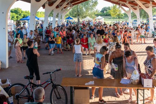 Tekintse meg galériánkat! (1/42)