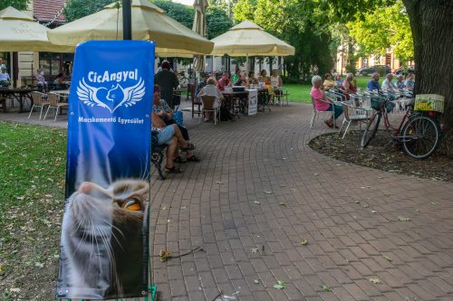 Tekintse meg galériánkat! (1/9)