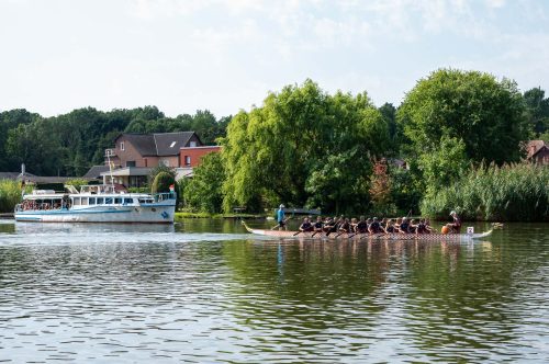 Tekintse meg galériánkat! (1/24)