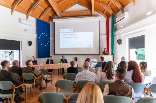 Tekintse meg galériánkat! (1/14)