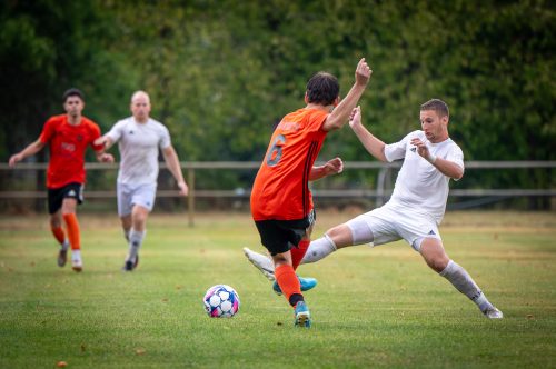 Tekintse meg galériánkat! (1/46)