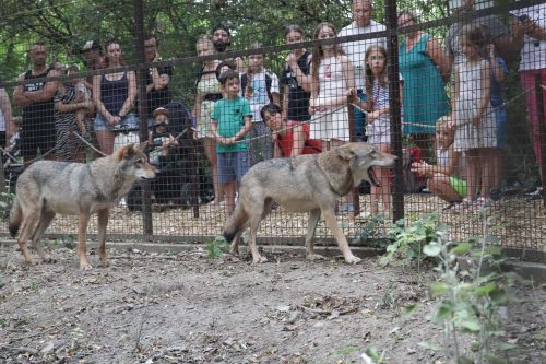 Tekintse meg galériánkat! (1/16)