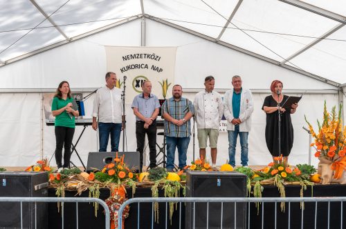 Tekintse meg galériánkat! (1/30)