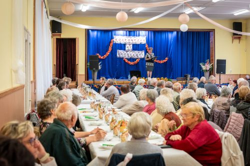 Tekintse meg galériánkat! (1/33)