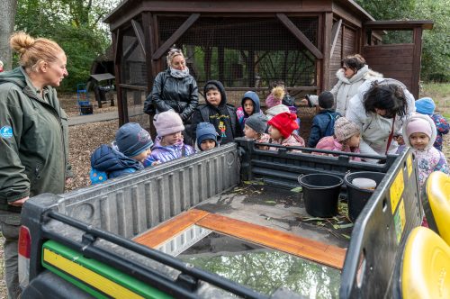 Tekintse meg galériánkat! (1/24)