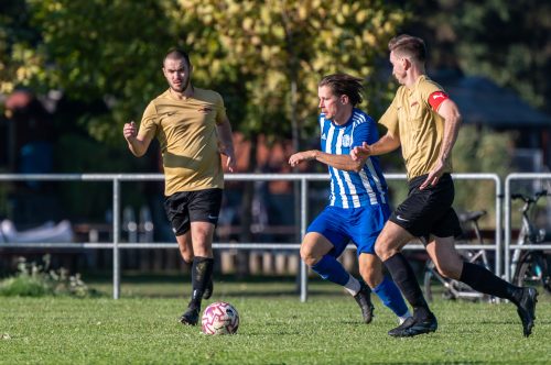 Tekintse meg galériánkat! (1/54)