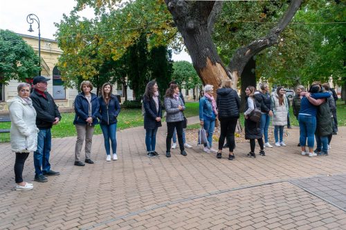 Tekintse meg galériánkat! (1/21)