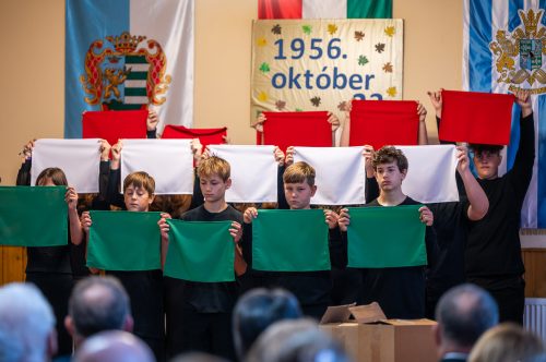 Tekintse meg galériánkat! (1/30)