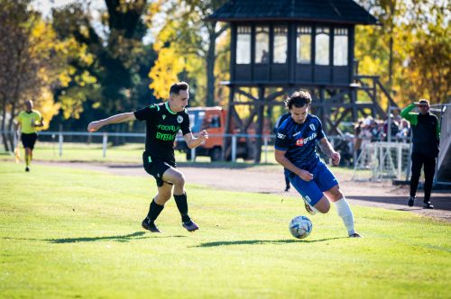 Tekintse meg galériánkat! (1/41)