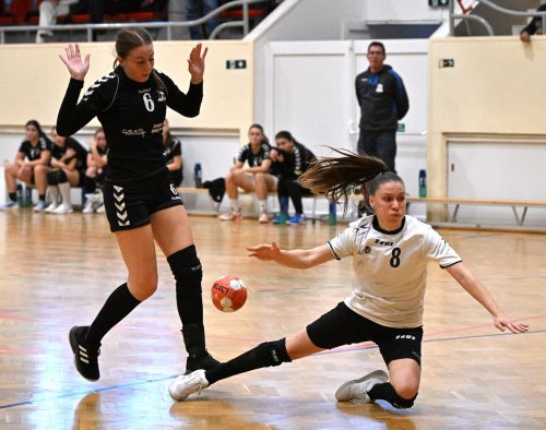 Tekintse meg galériánkat! (1/15)