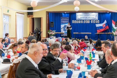 Tekintse meg galériánkat! (1/11)