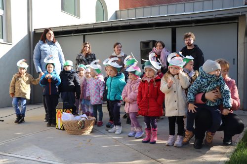 Tekintse meg galériánkat! (1/32)