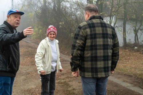 Tekintse meg galériánkat! (1/7)