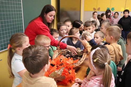 Tekintse meg galériánkat! (1/29)