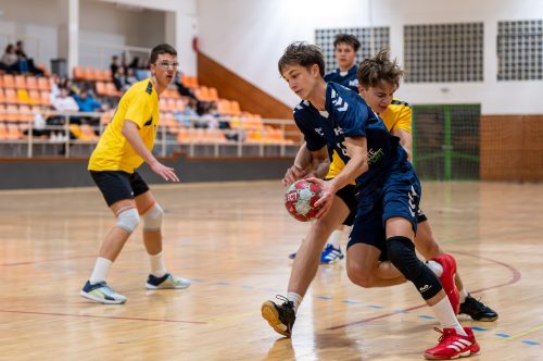 Tekintse meg galériánkat! (1/24)