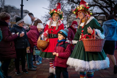 Tekintse meg galériánkat! (1/22)