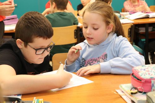 Tekintse meg galériánkat! (1/45)